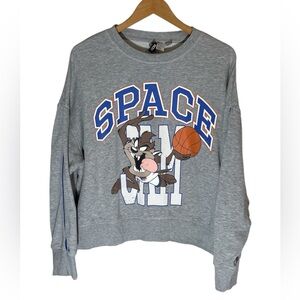 Z9- divided H&M Warner bros Gray Space Jam Sweatshirt Tasmanian devil Taz